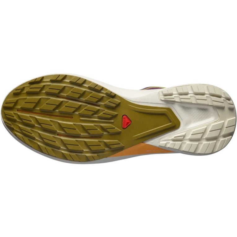 Sapatilhas Trail Running Salomon Hypulse Feminino Vermelhas | PT N18056